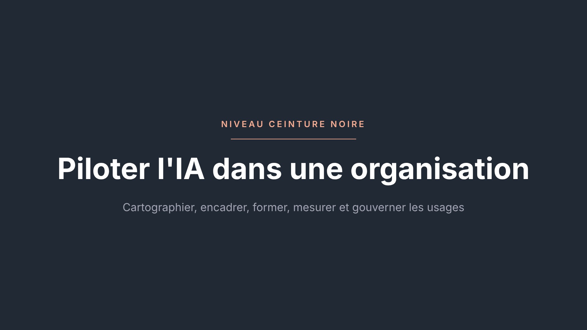Piloter l&rsquo;IA dans une organisation